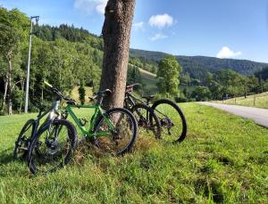 de Vinkenborg nabij Winterberg
