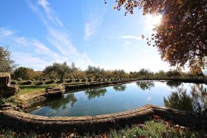 Maison de vacances Demeure d'hôtes la carraire chemin de la Carraire 84360 Lauris Provence-Alpes-Côte d\'Azur