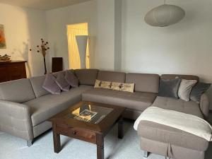 Detached holiday home with terrace in Falkenstein in the Harz Mountains