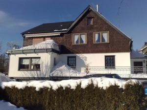 Detached house with sauna 50m from ski lifts