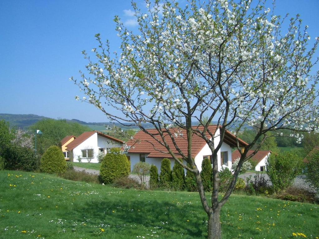 Maison de vacances Detached single-storey bungalow with south-facing terrace  37170 Uslar