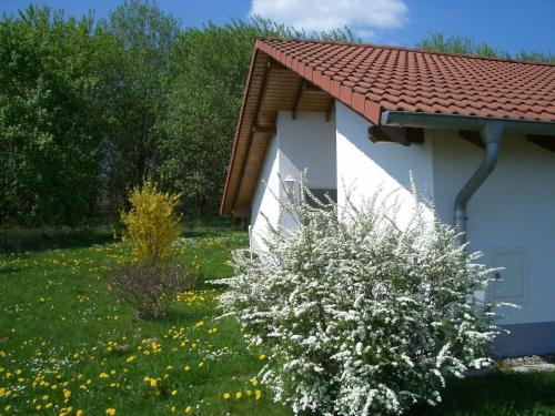 Detached single-storey bungalow with south-facing terrace