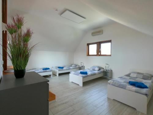 Die Göttinger Ferienwohnung, alt trifft modern!
