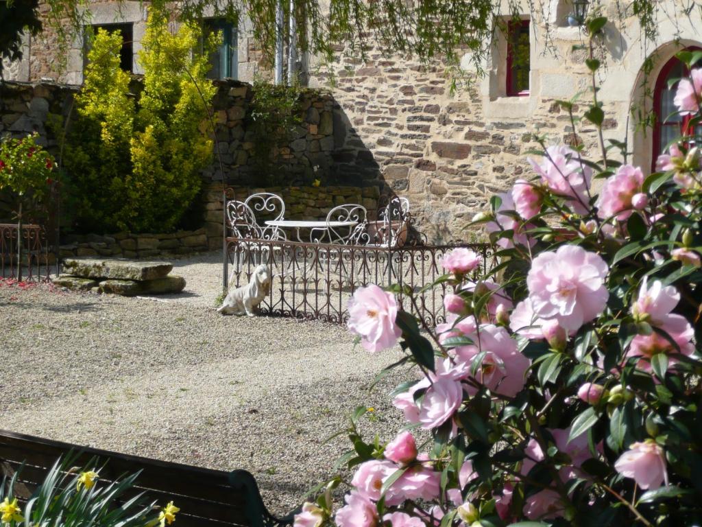 Maison de vacances DINAN Gîte \ Lieu dit La Priquetais au N°3 22100 Trévron