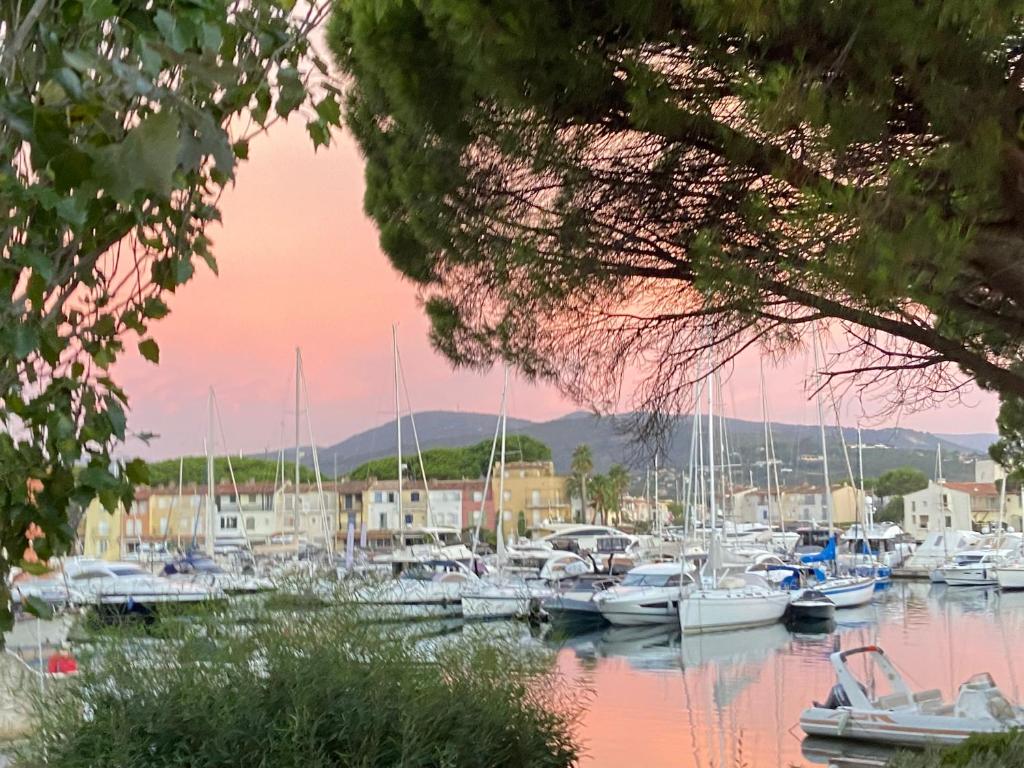 Dock of the bay 82 Rue de l' Île des Sables, Port Grimaud, 83310 Grimaud
