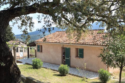 DOMAINE DE LA NAVICELLE - OISEAUX 1
