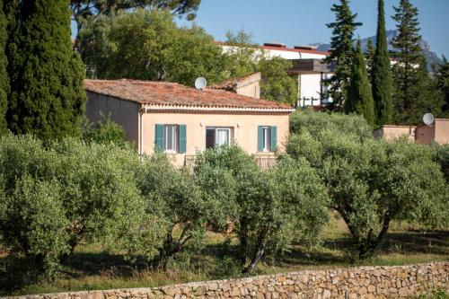 DOMAINE DE LA NAVICELLE - OISEAUX 2