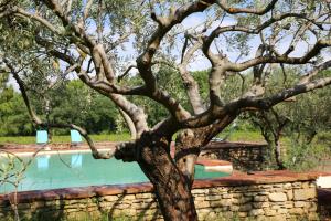 DOMAINE de MAS CARON Gîte 4* au pied du Ventoux en Provence