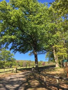 Domaine de Montmery sa piscine son jardin ses espaces