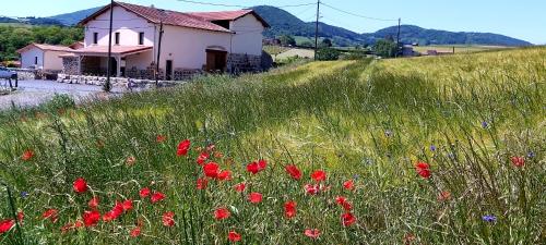 Domaine de Solémy