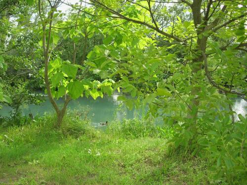 Domaine des Petits Cancets