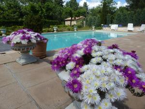 DOMAINE DU PLANAS - PATIO