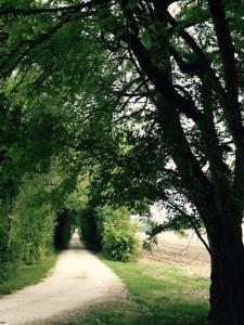 Domaine Le Rolant