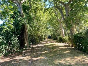 Domaine Saint Martin le grand