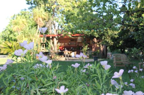Domaine Sesquier Mas d'exception Pivoine