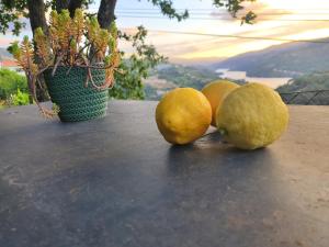 Douro Mesio Guest House