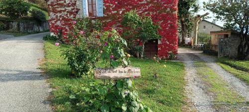 Du Vent Dans Les Arbres - Belle vue sur le lac