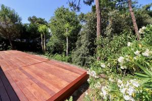 Dune de L'Herbe - ideal vacation home 300m from the bay