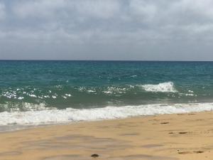 Duplex Ocean View