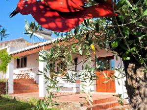 Ecologische cottage in M rtola met priv tuin
