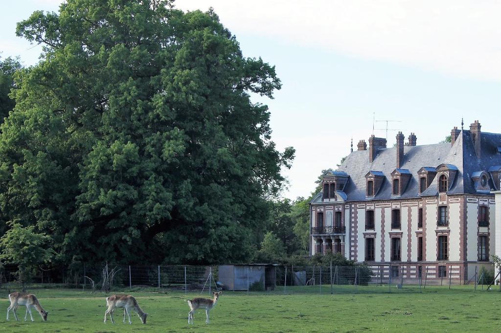 EIC4 Bungalow Bullwinkel