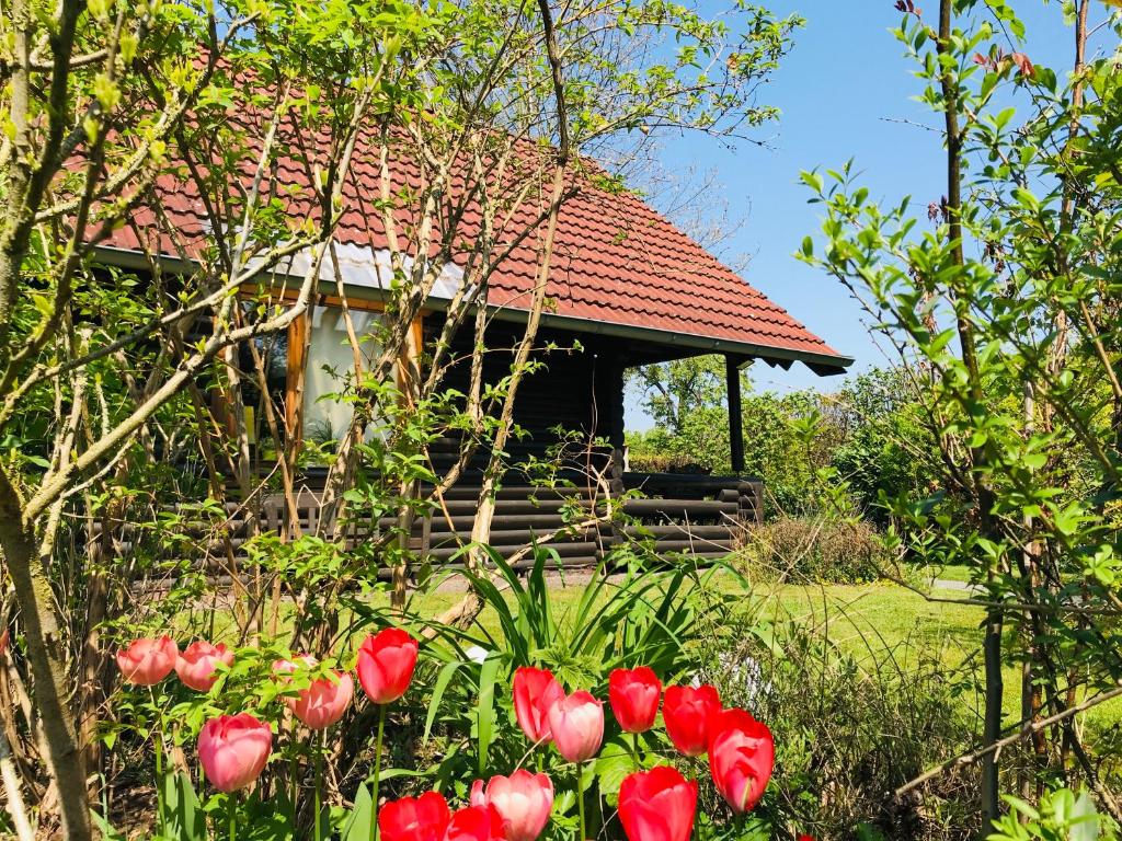 Eifel-Lounge BLOCKHAUS Bergstr. 60, 53919 Weilerswist