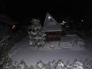 Eifelwaldhäuschen