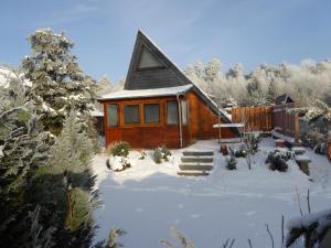 Maison de vacances Eifelwaldhäuschen Feriendorf Freilingen 208 53945 Blankenheim Rhénanie du Nord - Westphalie