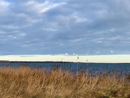 eilandR Am Ufer 8 & Am Ufer 14