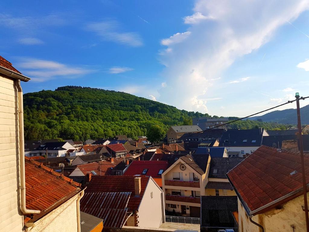 Ein Trip in die Natur Petersstrasse 3, 54669 Bollendorf