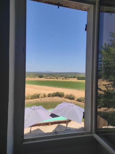 Entre blé et lavande