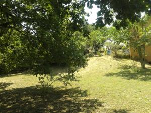 Entre Nîmes et Arles