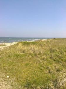Erholung auf dem Land zwischen Ostsee und Schlei