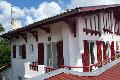 exceptional house close to the dune
