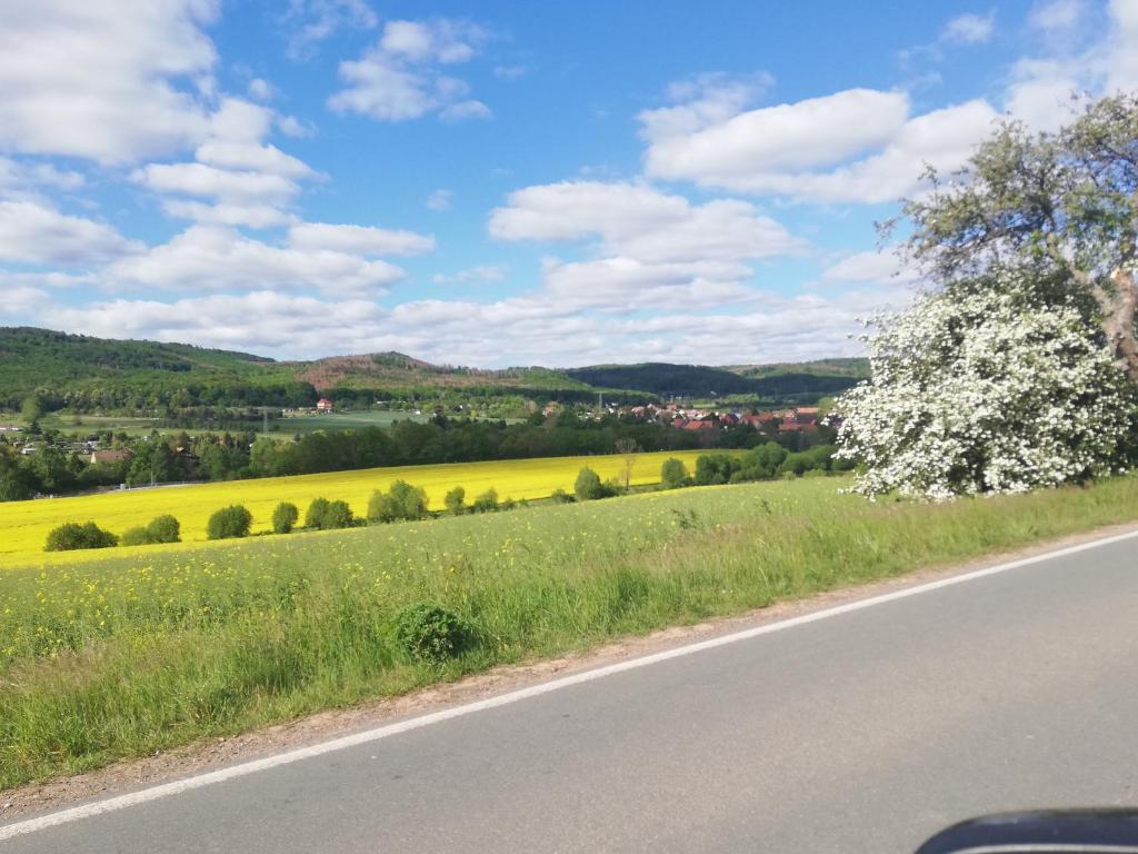 Fam Stana Kommißstraße 7, 38889 Wienrode