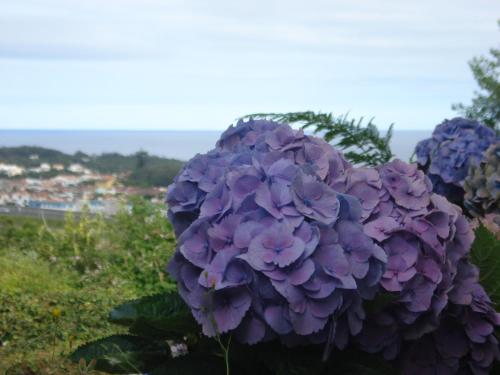 Family Holiday Villa Vacation Ponta Delgada