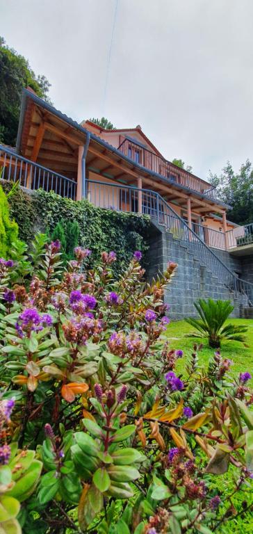 fantastic holiday house sitio primeira lombada, 9240-114 Ponta Delgada