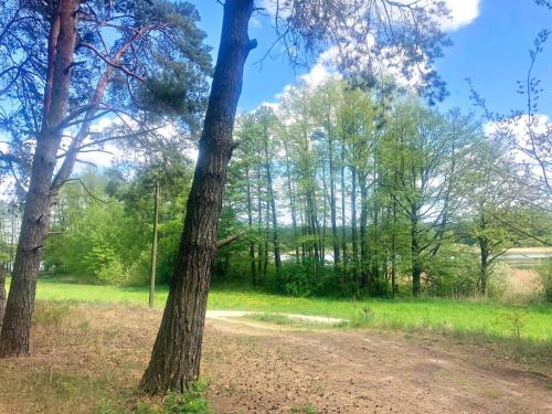 Ferienbungalow am Wasser Vipperow SEE 11171