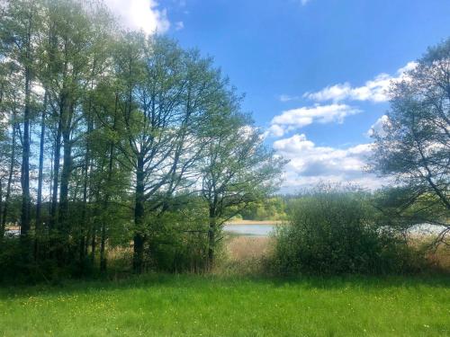 Ferienbungalow am Wasser Vipperow SEE 11171