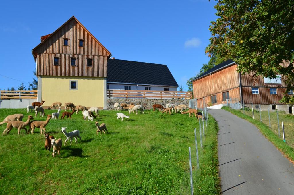 Maison de vacances Ferienhaus Alpaka Glück 8 Freitaler Straße 09623 Frauenstein