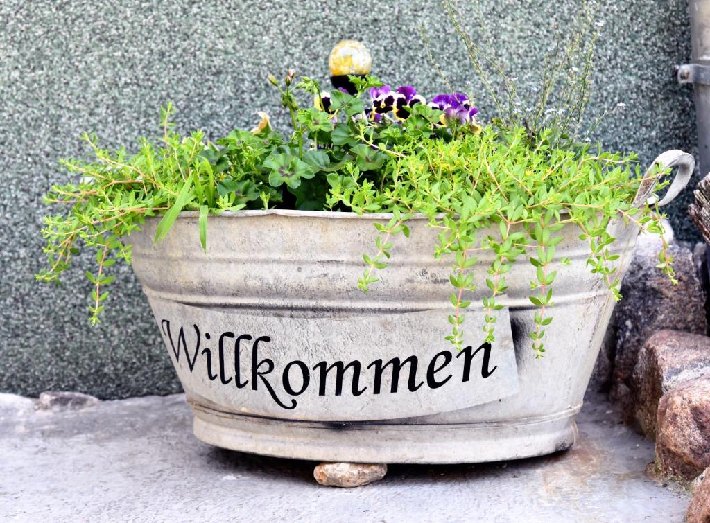 Maison de vacances Ferienhaus \ Am Dorfteich 4A 15328 Alt Tucheband