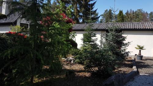 Ferienhaus am Mühlenweg