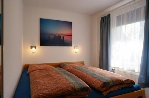 Ferienhaus am Schilfgürtel