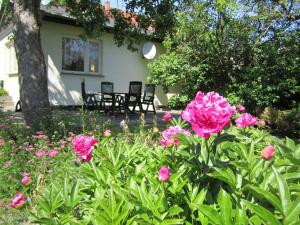 Ferienhaus am Schilfgürtel