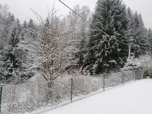 Ferienhaus am Wald
