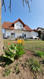 Ferienhaus Antiquarius