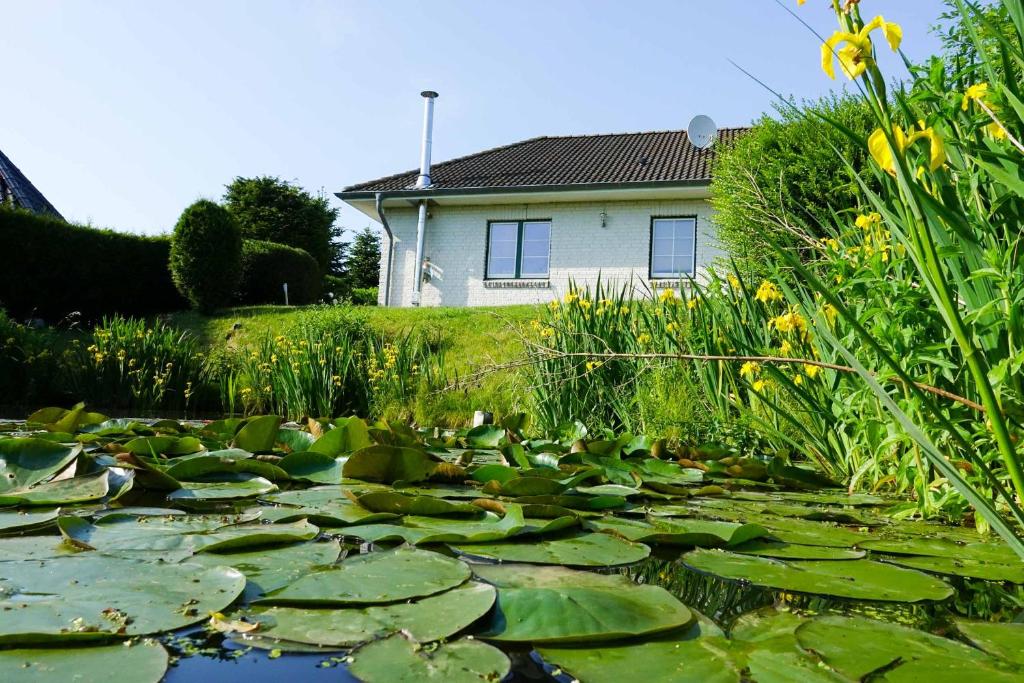 Ferienhaus Auszeit Haffstraße 8d, 24977 Westerholz