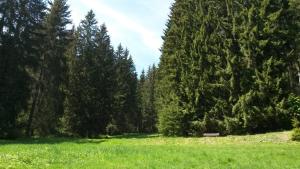 Maison de vacances Ferienhaus Bad Hundertpfund Typ C Bad Hundertpfund 1 Feriendorf 98701 Grossbreitenbach Thuringe