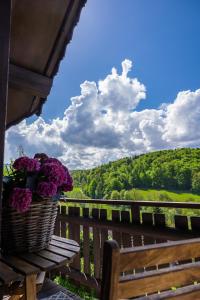 Ferienhaus Bergblick mit gratis WLAN