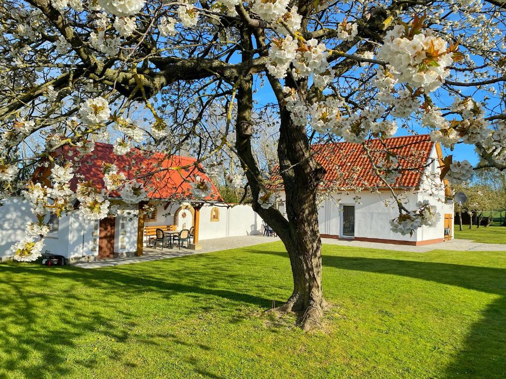 Maison de vacances Ferienhaus Berta Dubnitz 4 18546 Dubnitz